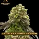 Zkittlez x Bruce Banner (Regular) - Best Coast Genetics