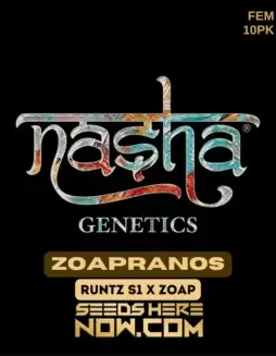 Zoapranoz Feminized Seeds, Hybrid Strain with Citrus and Diesel Flavors