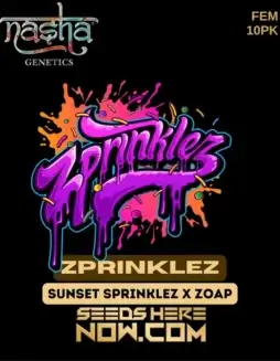 Zprinklez Feminized Seeds (space) a hybrid strain with sweet, fruity flavors and creative effects