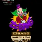 ZZBang (Feminized) - Nasha Genetics