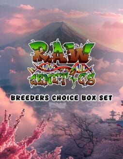 Breeders box set