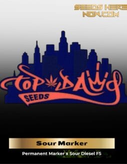 Sour Marker (Regular) (space) Top Dawg Seeds