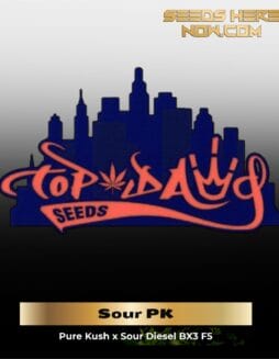 Sour PK (Regular Seeds) – Top Dawg Seeds
