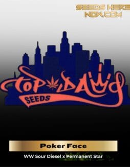 Poker Face (Regular Seeds) – Top Dawg Seeds