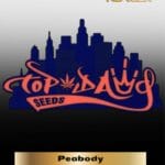 Peabody (Regular) - Top Dawg Seeds