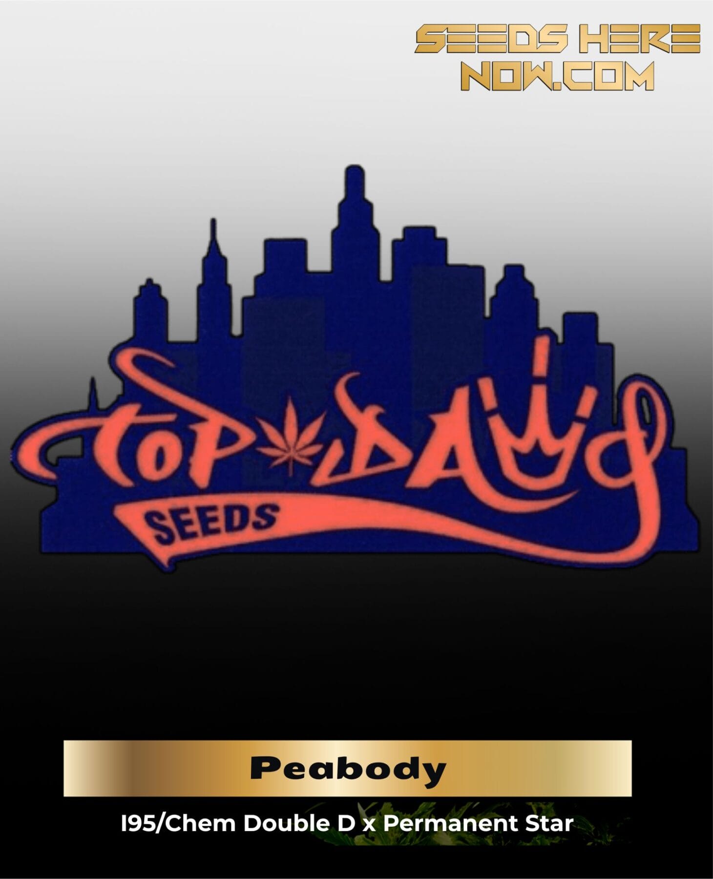 Peabody (Regular Seeds) – Top Dawg Seeds