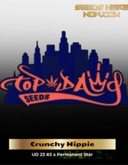 Crunchy Hippie (Regular Seeds) – Top Dawg Seeds