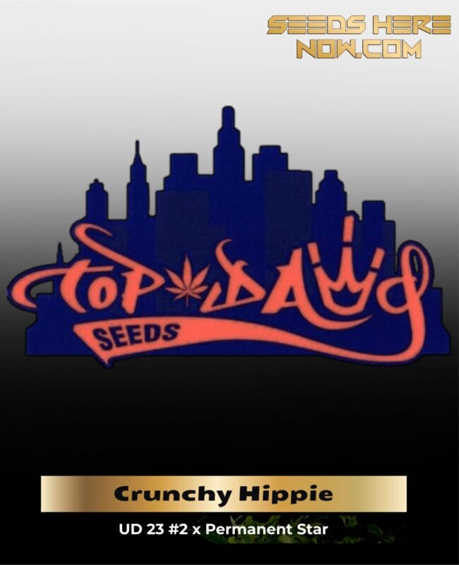 Crunchy Hippie (Regular Seeds) – Top Dawg Seeds