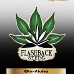 Ola - Aloha (Regular) - Flashback Seeds