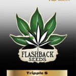 Tripple S (Regular) - Flashback Seeds