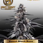 Sweet Black Rose (Regular) - Best Coast Genetics