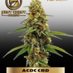 ACDC CBD (1:18) (Regular) - Best Coast Genetics