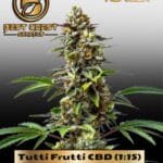 Tutti Frutti CBD (1:15) (Feminized) - Best Coast Genetics