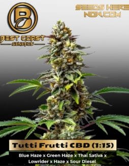 Tutti Frutti CBD (1:15) (Regular) (space) Best Coast Genetics