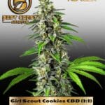 Girl Scout Cookies CBD (1:1) (Feminized) - Best Coast Genetics