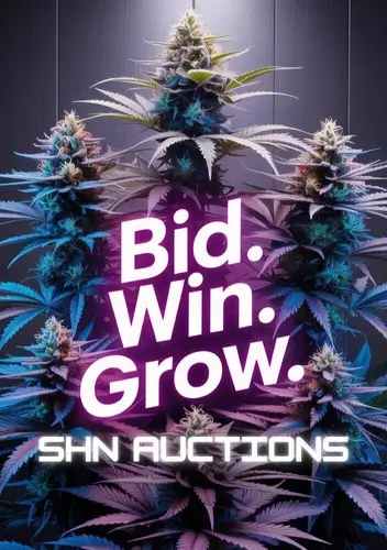 Autoflower Seeds Promotion