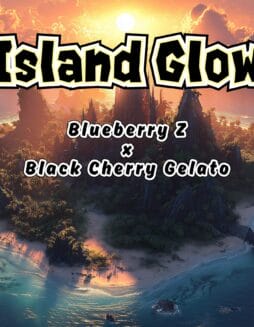 Island Glow Strain by Raw Genetics (Blueberry Z x Black Cherry Gelato)