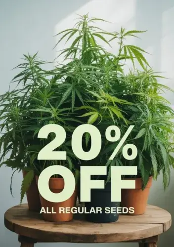 Autoflower Seeds Promotion