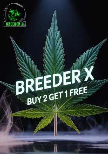 Autoflower Seeds Promotion