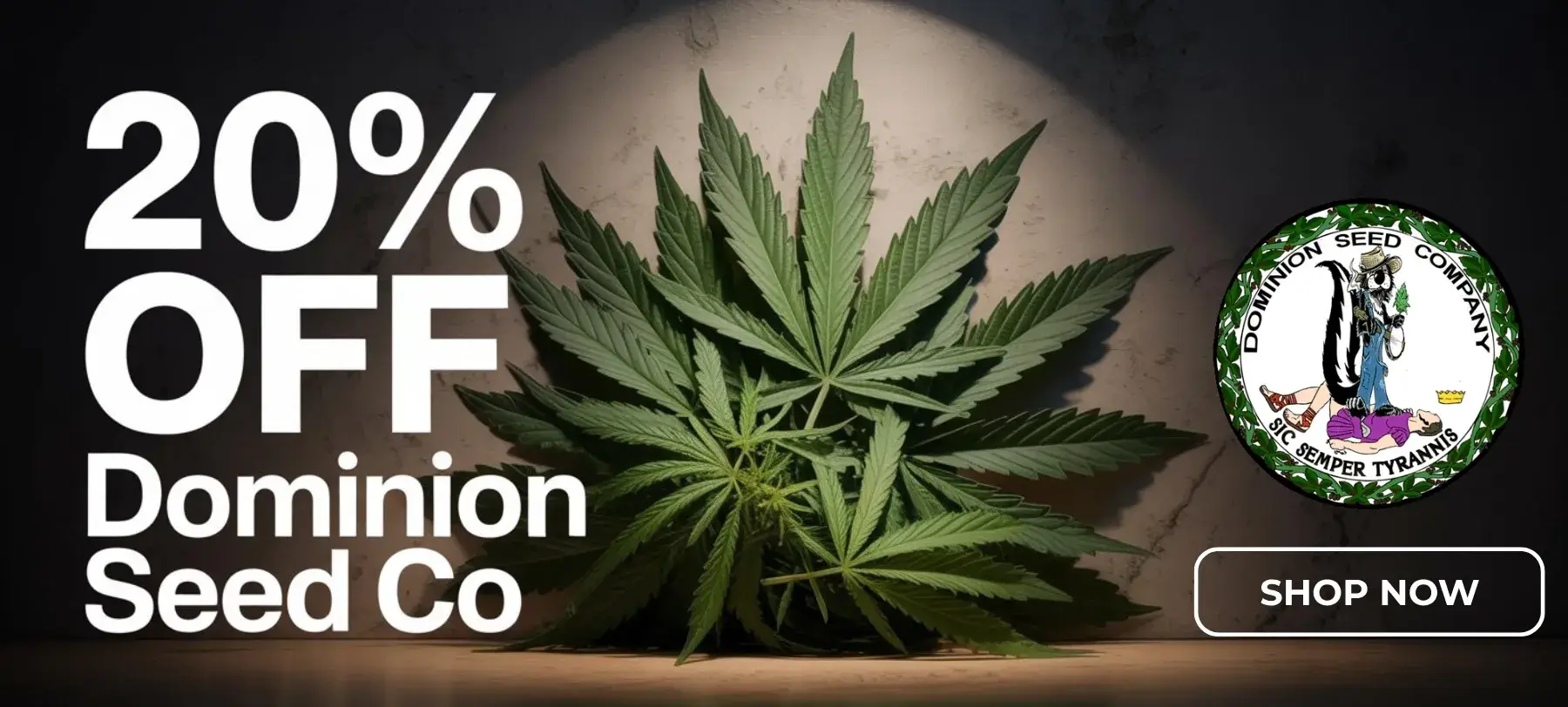 Autoflower Seeds Promotion