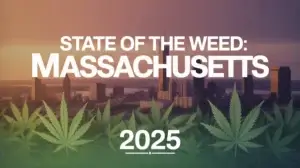 State of the Weed (space) Q3 2025: Massachusetts