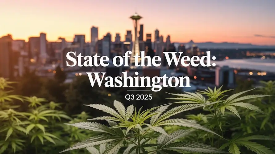 State of the Weed — Washington • Q3 2025