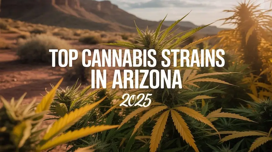 Top Cannabis Strains in Arizona 2025