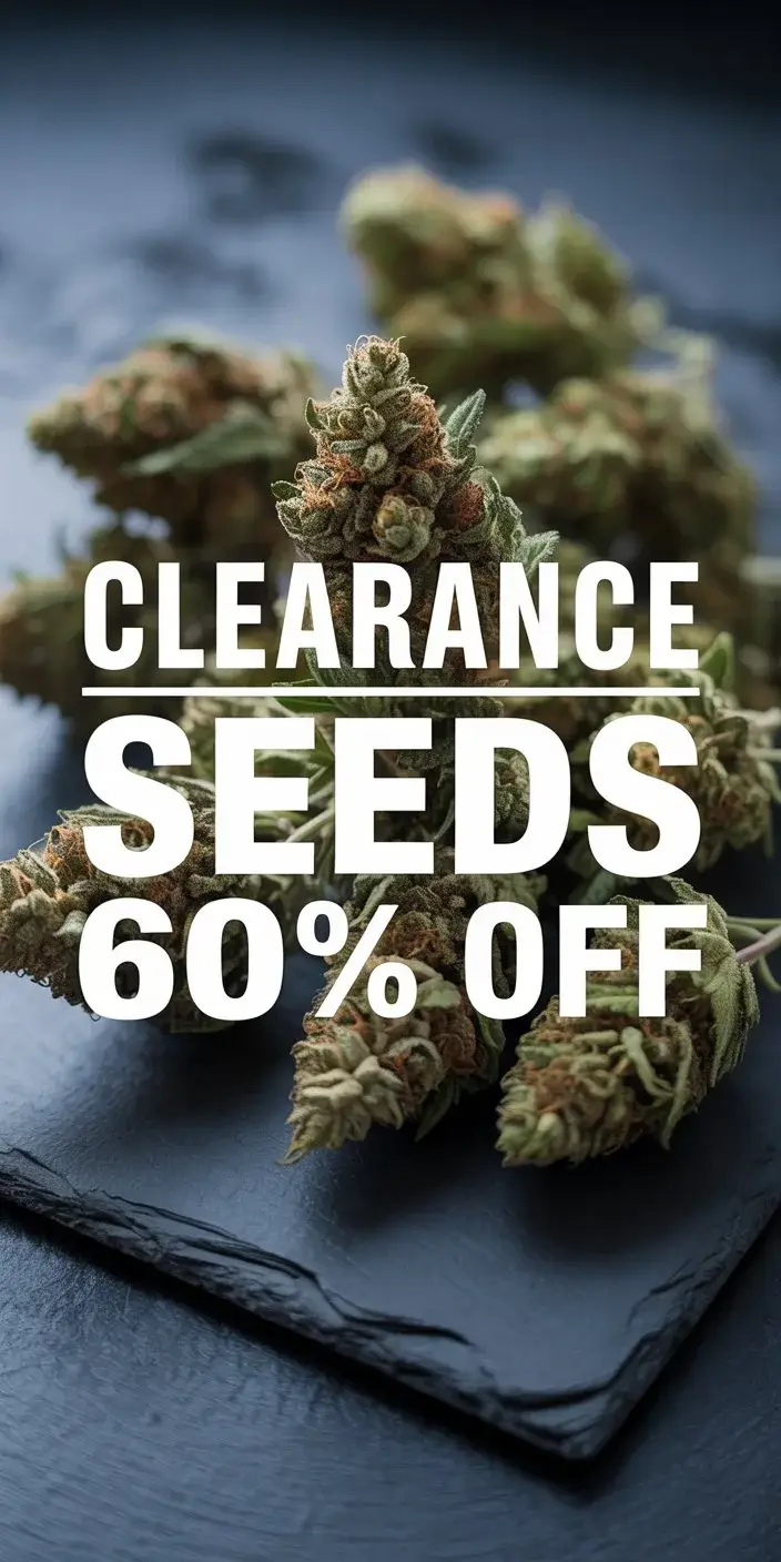 Autoflower Seeds Promotion
