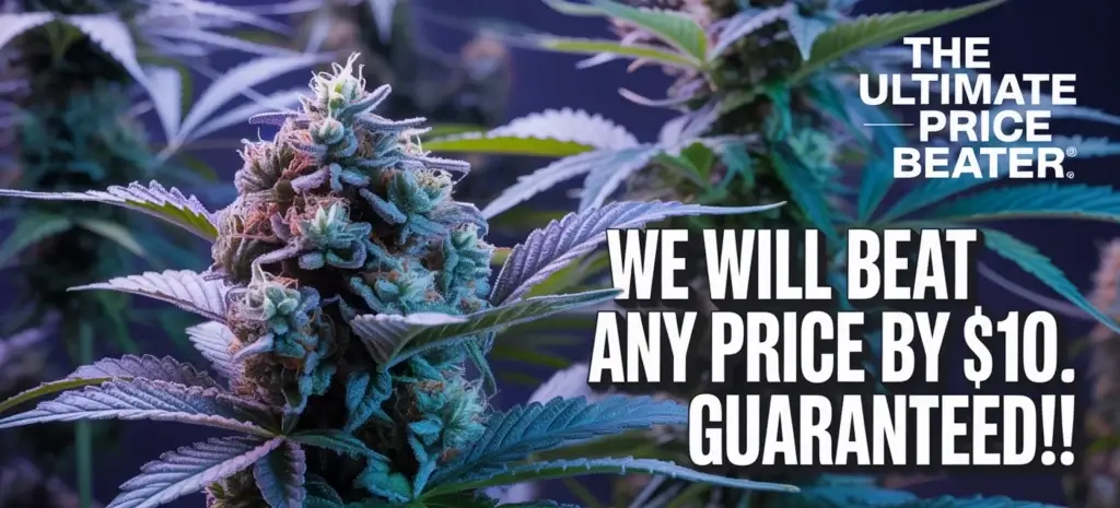 a close up of a plant explaining freebies seeds 