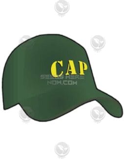 Big Chillz (Regular) (space) Capulator