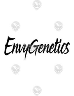 Bananarama (Regular) (space) Envy Genetics