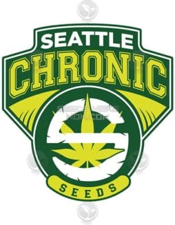 Scraps (Regular) (space) Seattle Chronic Seeds