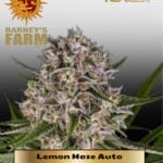 Lemon Haze (Autoflower) - Barney's Farm