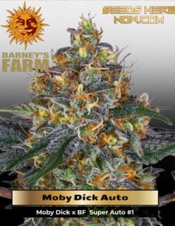 Moby Dick (Autoflower) (space) Barney's Farm