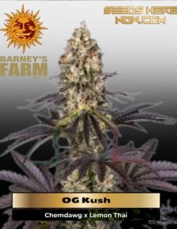 OG Kush (Feminized) (space) Barney's Farm