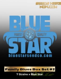 Family Blues Set 2 (Feminized) (space) DJ Short Seeds/Blue Star Seeds