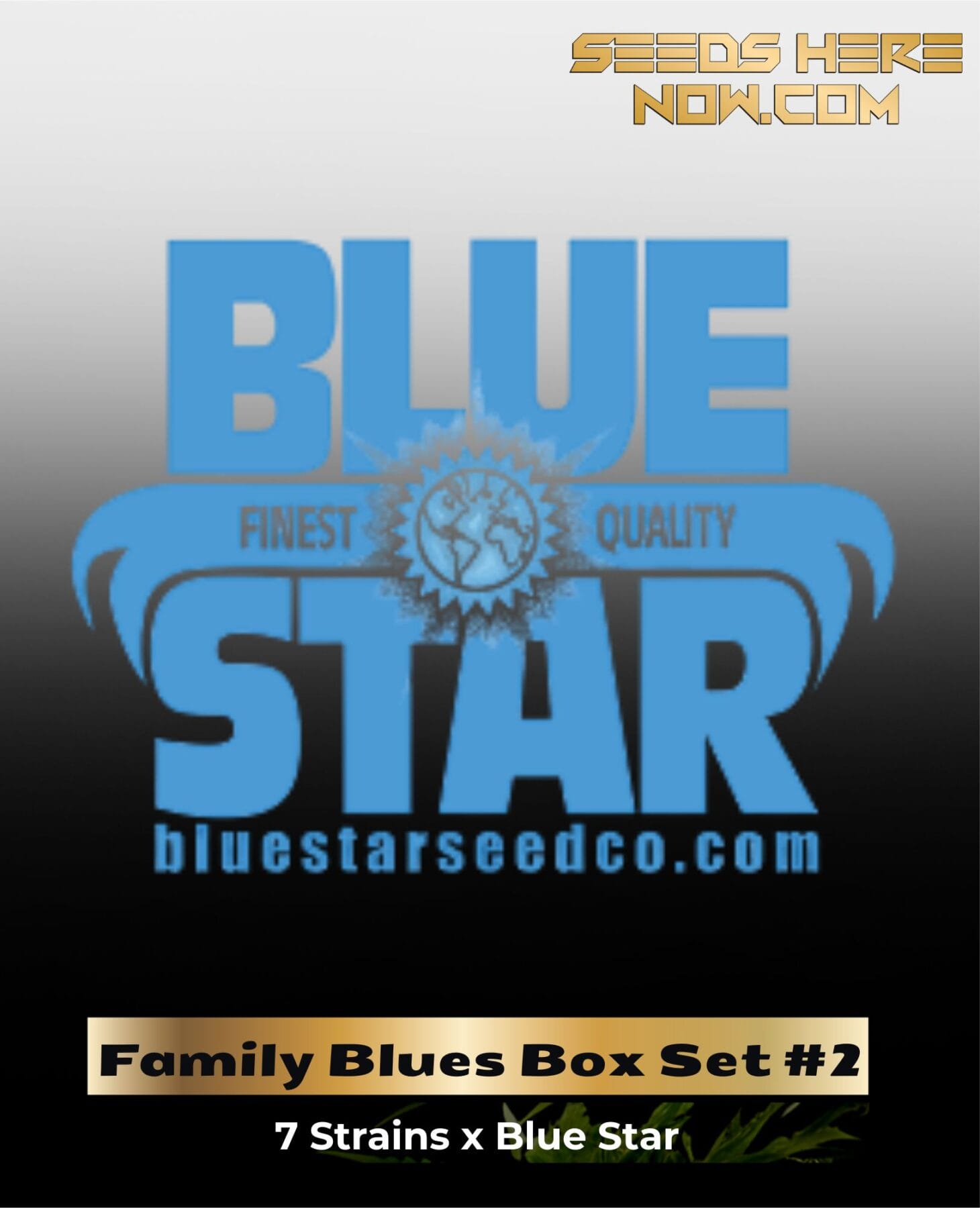 Family Blues Set 2 (Feminized) - DJ Short Seeds/Blue Star Seeds