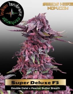 Super Deluxe F5 (Regular(+5 free fem))(space) Indian Landrace Exchange