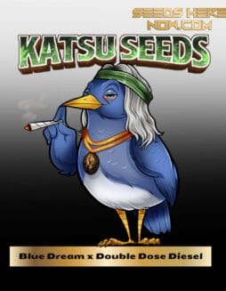 Blue Dream x Double Dose Diesel (Feminized) (space) Katsu Seeds