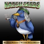 Durban Poison x Double Dose Diesel (Feminized) - Katsu Seeds