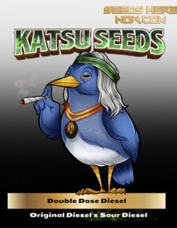 Double Dose Diesel (Feminized) (space) Katsu Seeds