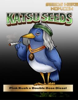 Pink Kush x Double Dose Diesel (Feminized) (space) Katsu Seeds