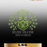 LSG S1 (Feminized) - Elite Clone Seed Company