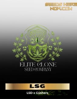 LSG S1 (Feminized) (space) Elite Clone Seed Company