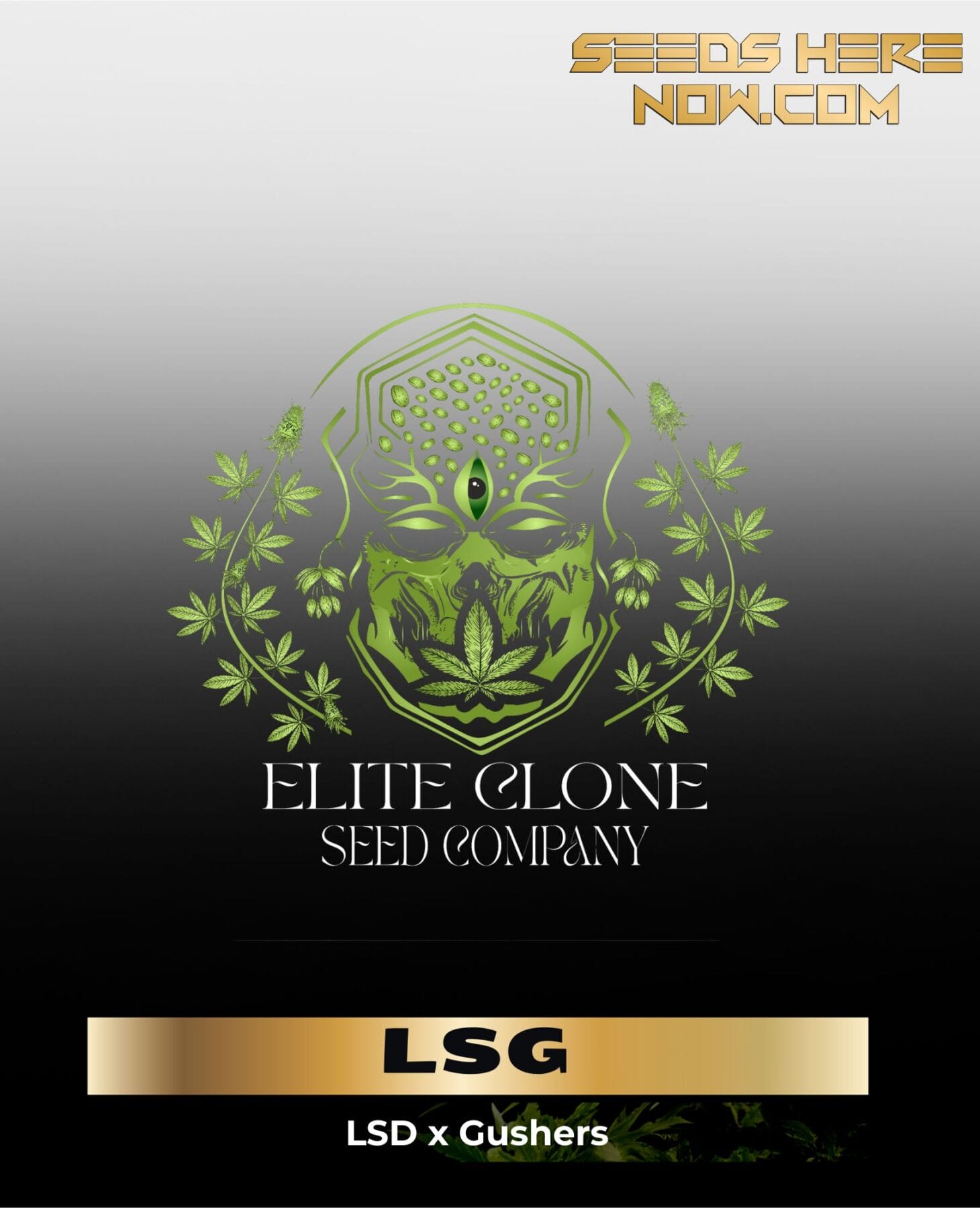 LSG S1 (Feminized) - Elite Clone Seed Company
