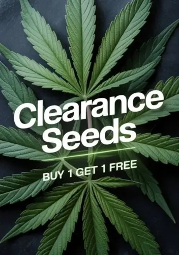 Autoflower Seeds Promotion