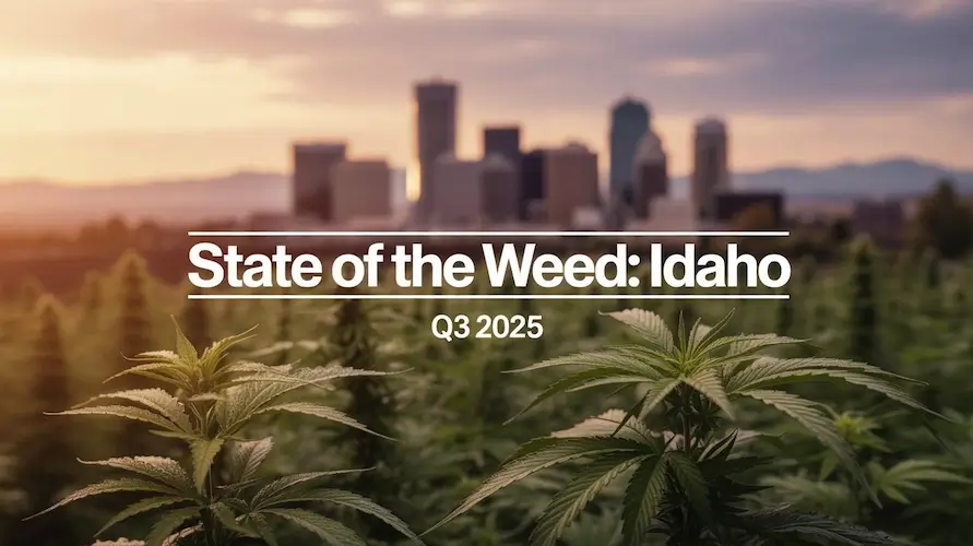 State of the Weed — Idaho • Q3 2025 – Suzie Paranoid Libertarian Prepper from Idaho