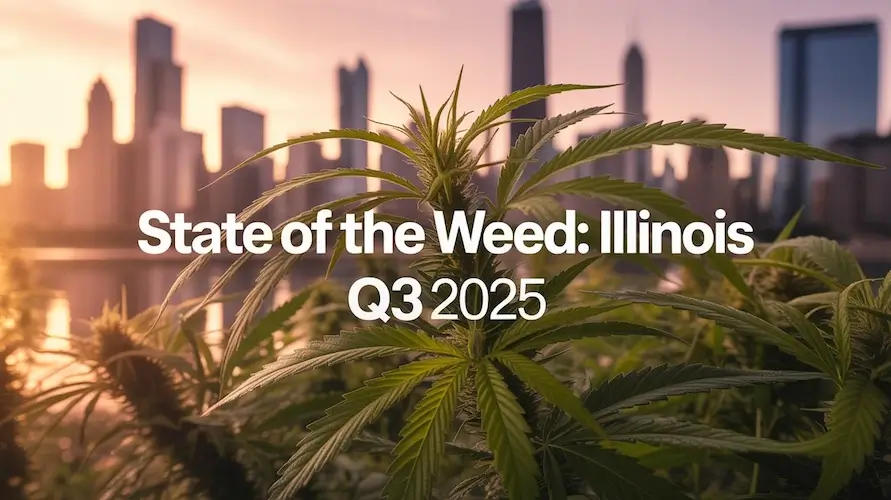 State of the Weed — Illinois • Q3 2025