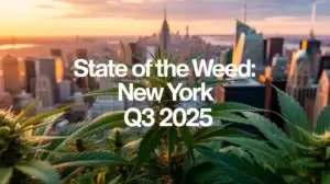 State of the Weed: New York (space) Q3 2025