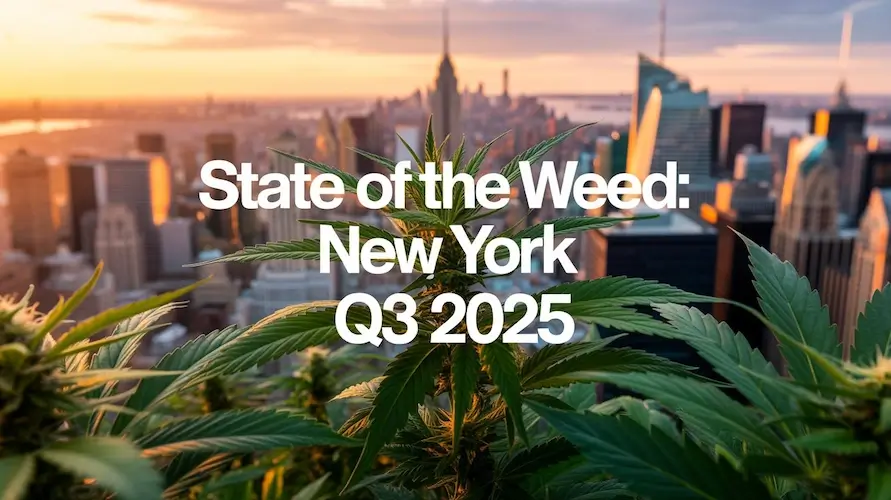 State of the Weed — New York • Q3 2025 – Louie – NY